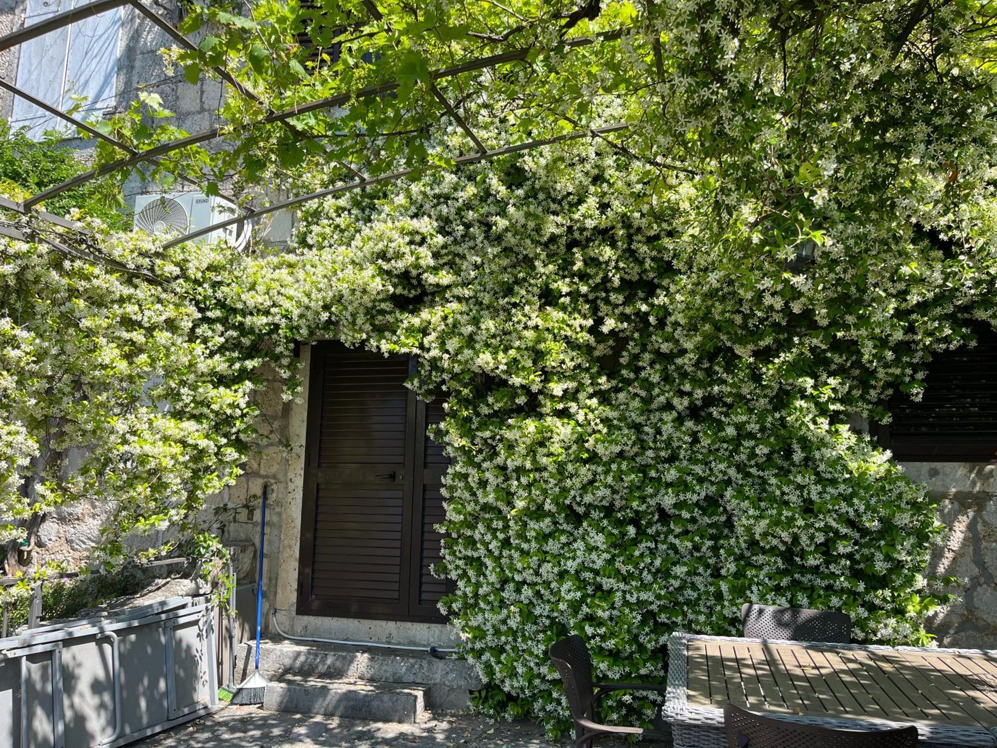 Ferienwohnung Be Happy In Perast Exterior foto